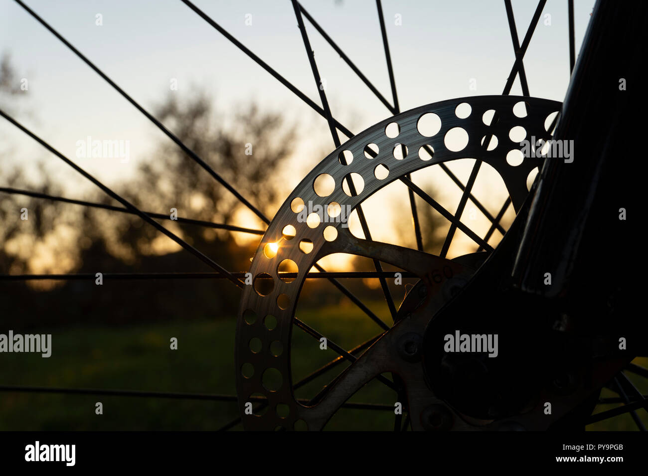 Portrait de rayons d'une roue de bicyclette à l'intermédiaire d'un champ vert au coucher du soleil Banque D'Images