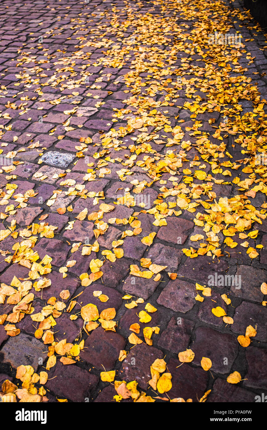 Feuilles mortes jaune sur la masse de brique Banque D'Images