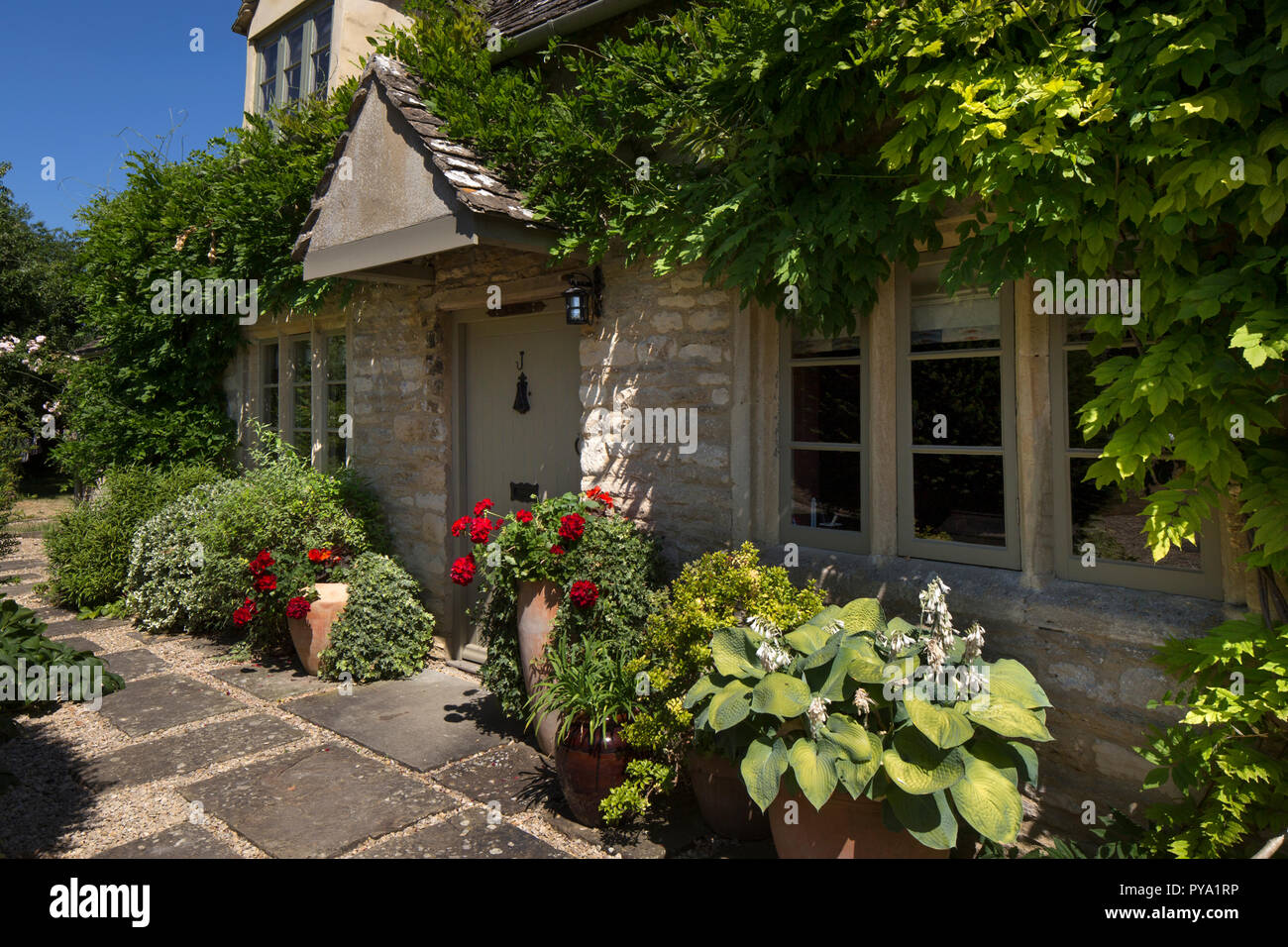 Porte avant de cottage en anglais avec le Jardin des glycines et des pots de roses et d'hostas,Angleterre,Europe Banque D'Images