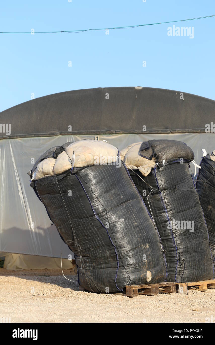 Gros sacs remplis de feuilles de plastique. Les déchets de plastique dans un énorme sac en vrac sur une plate-forme en bois en face de la serre. Utilisation de plastique agricole. Banque D'Images