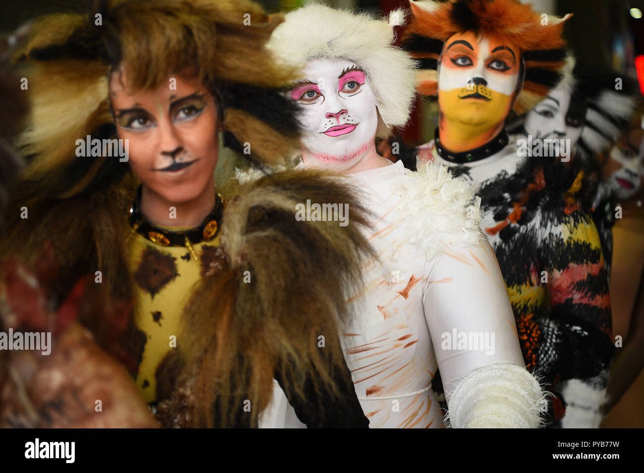 Les cosplayeurs déguisés en chats à la London Comic Con à l'ExCel de Londres. Banque D'Images