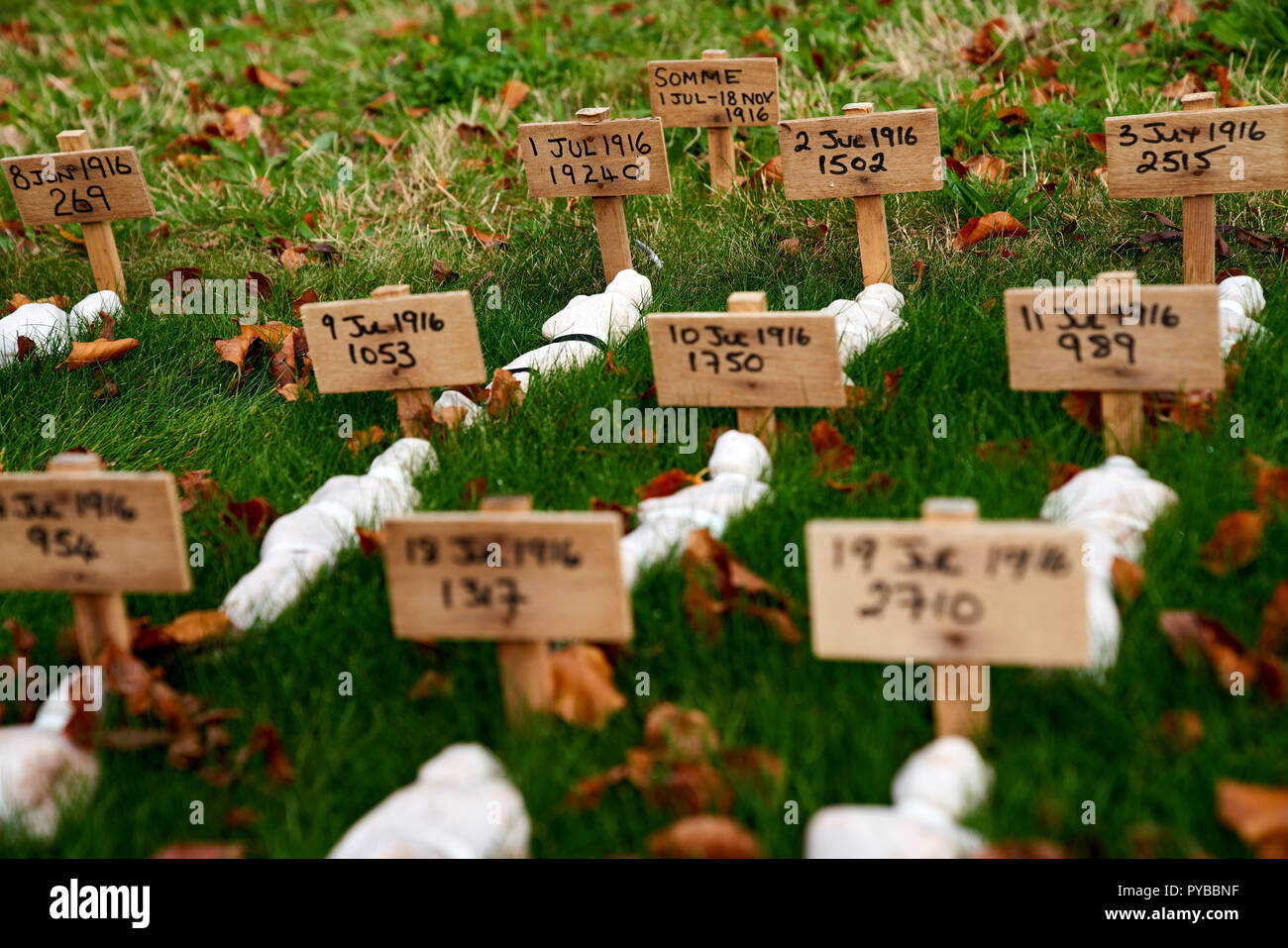 Une installation d'art temporaires à Thiepval. "Vies perdues" par l'artiste Rob entendu - marquant le nombre de décès sur chaque jour de la Première Guerre mondiale. Banque D'Images