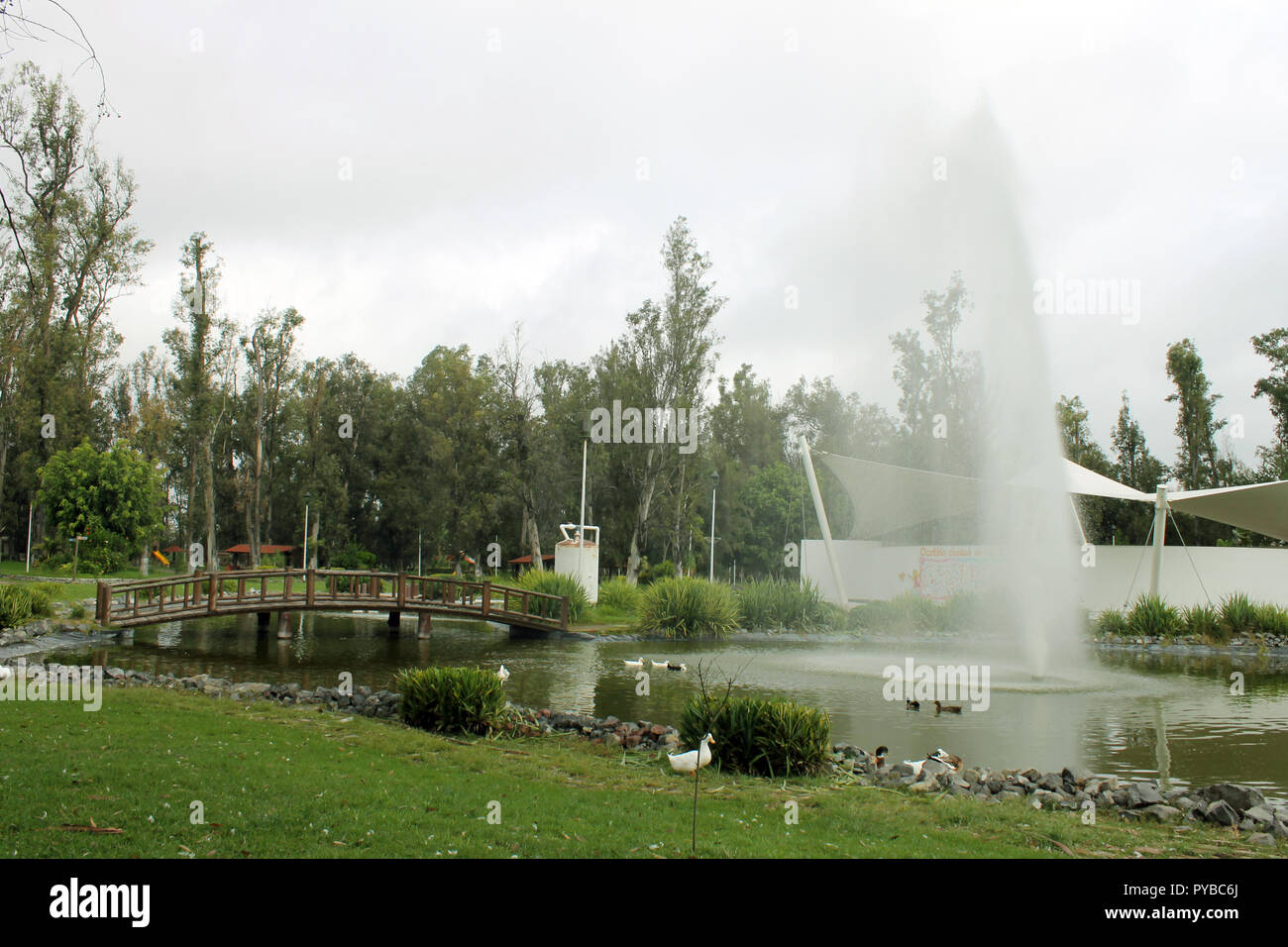 Una mañana nublada en un parque familiariser Banque D'Images