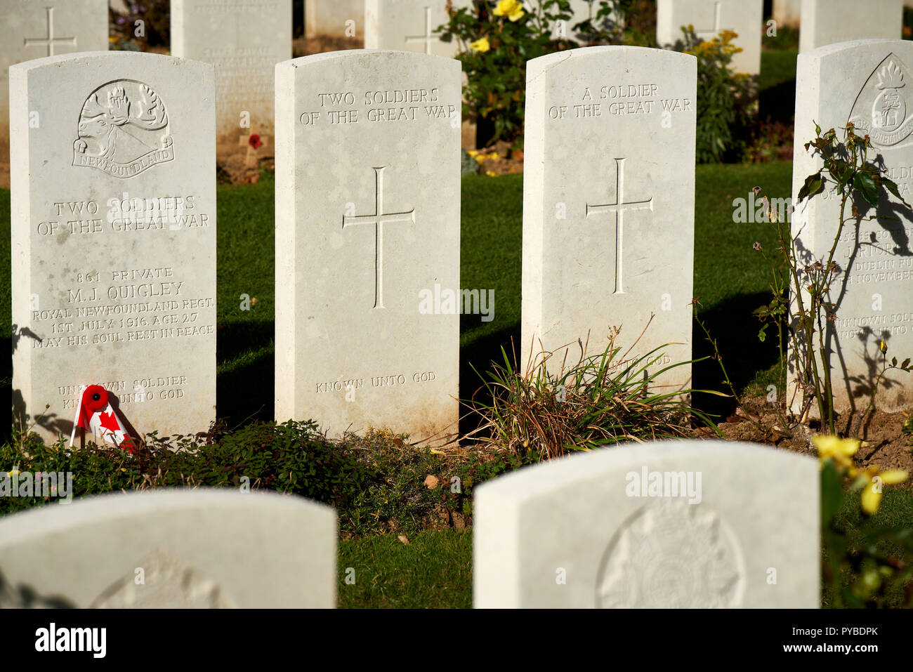 Tombes de guerre à l'automne à la lumière du soleil Y Ravin cimetière près de Beaumont-Hamel, le champ de bataille de la Somme en France Banque D'Images