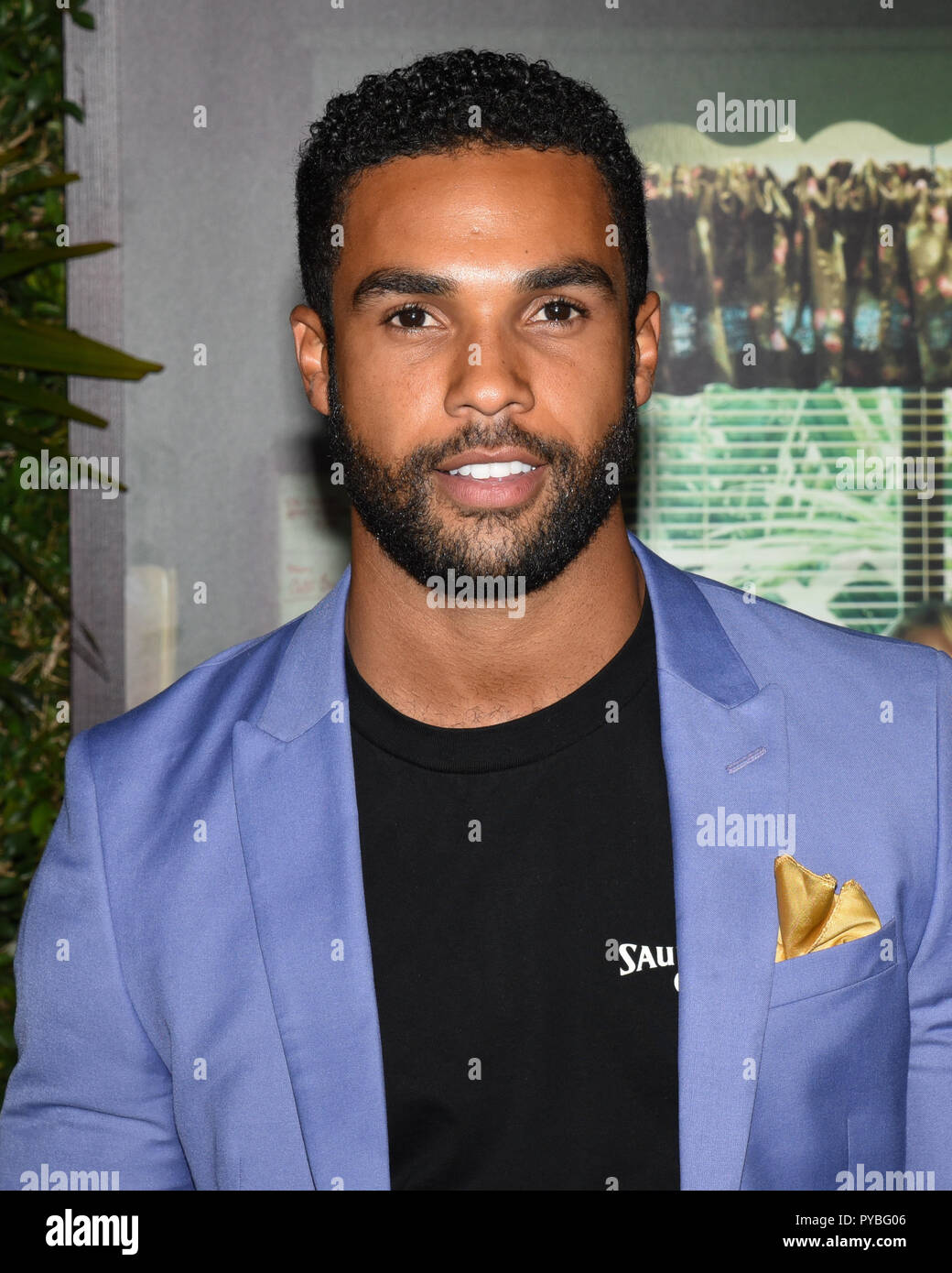 24 octobre 2018 - Westwood, CA, États-Unis - 24 octobre 2018 - Westwood, Californie - LUCIEN LAVISCOUNT. Amazon Studios ''Homecoming'' Los Angeles première au Regency Bruin Theatre. Crédit photo : Billy Bennight/AdMedia Banque D'Images