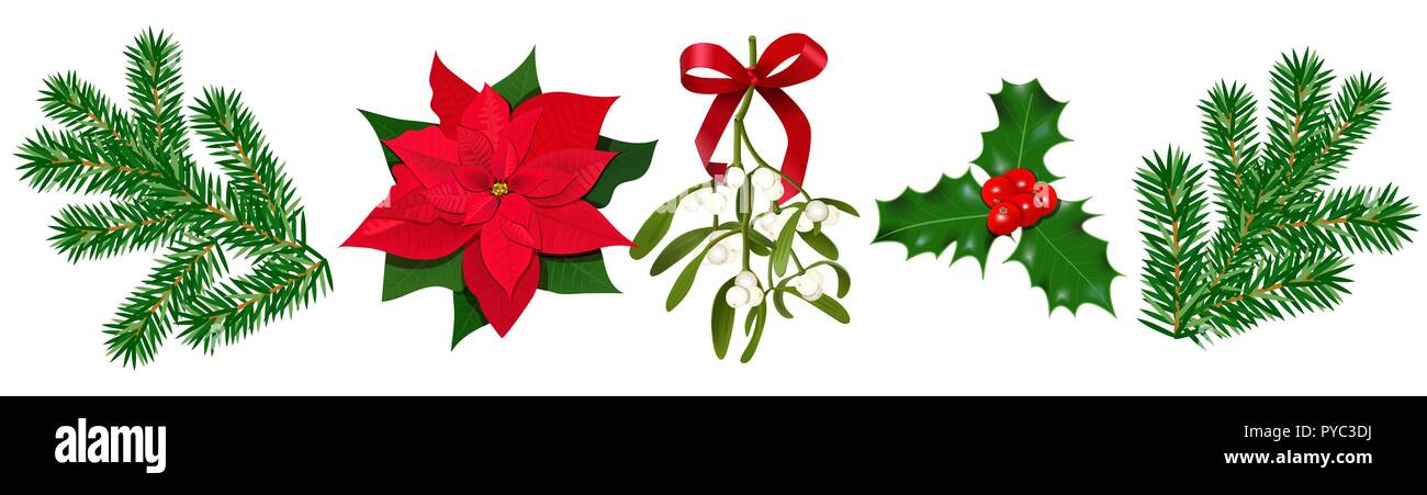 Ensemble avec Poincettia, baie de houx, le gui avec des baies et arc rouge, branches de sapin. Illustration vecteur de couleur. Isolées. pour les affiches, bannières, l'invit Illustration de Vecteur