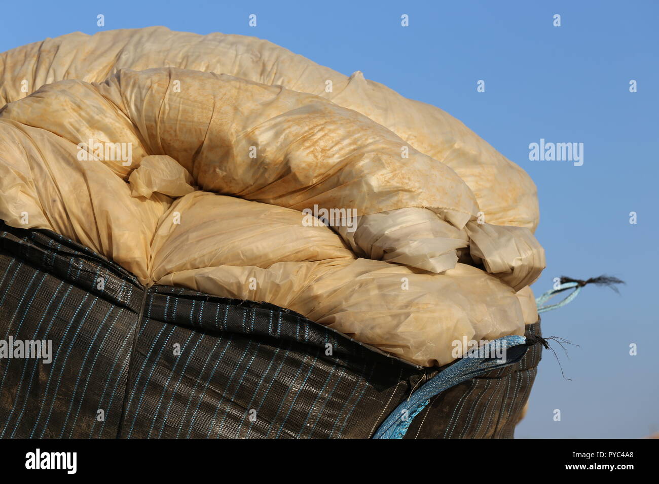 Gros sac rempli de feuilles de plastique. Dirdy feuilles plastiques déchets dans un énorme sac noir, Close up. Utilisation de plastique agricole. Banque D'Images
