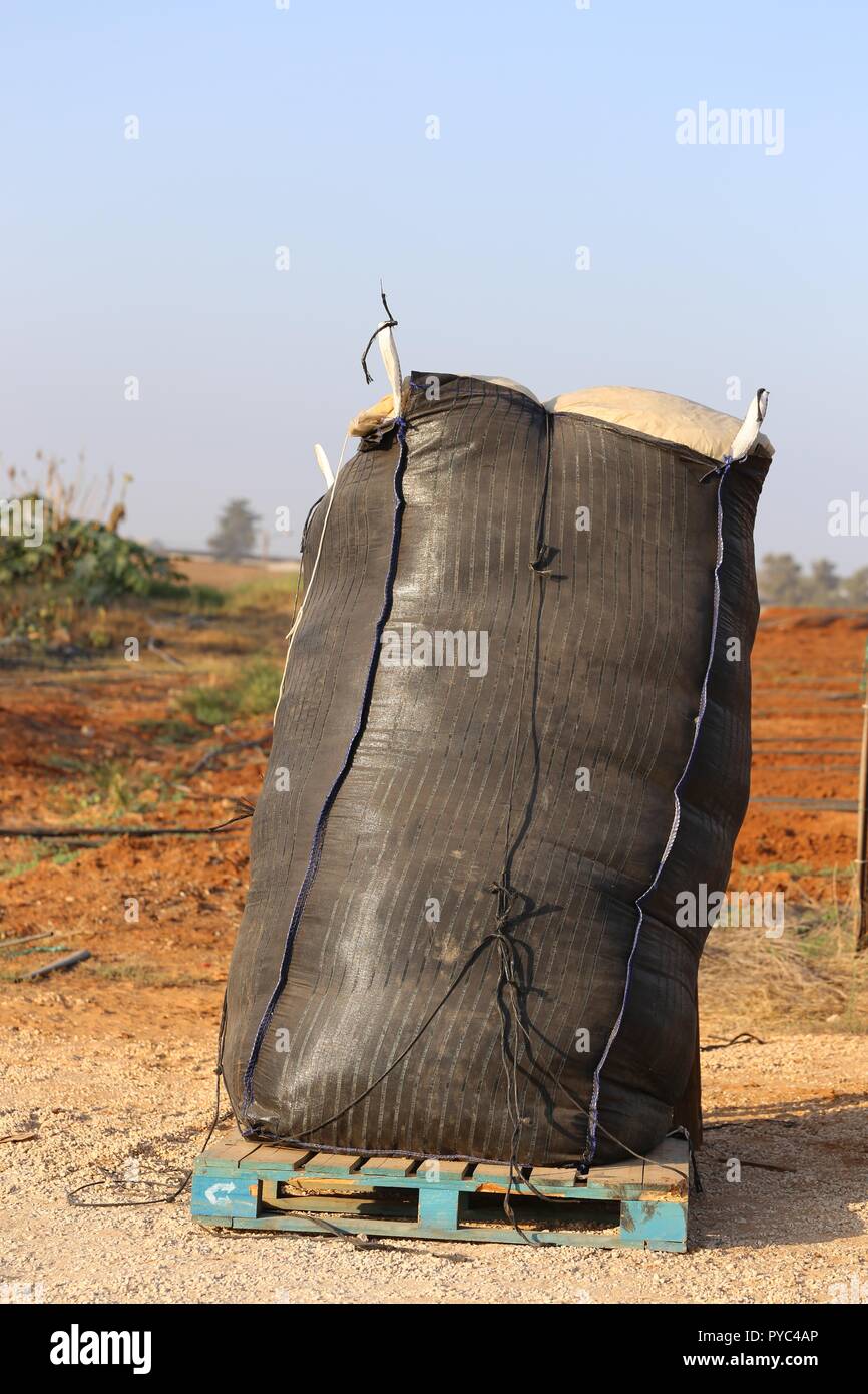 Sac noir plein de feuilles de plastique. Les déchets de plastique dans un énorme sac en vrac sur une plate-forme en bois sur le terrain. Utilisation de plastique agricole. Banque D'Images
