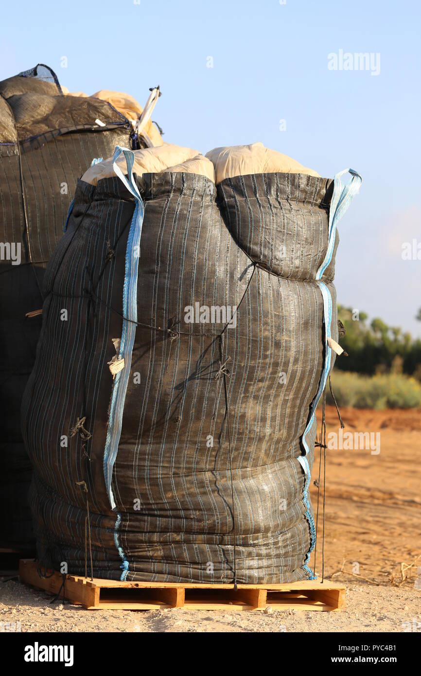 En vrac noir sac plein de feuilles de plastique. Les déchets de plastique en vrac énorme sac sur des plates-formes en bois sur le terrain. Utilisation de plastique agricole. Banque D'Images