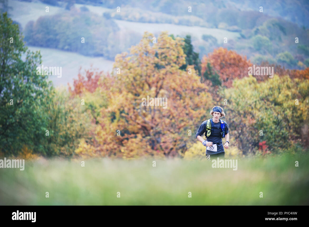 République tchèque, SLAPY, Octobre 2018 : Trail Maniacs Exécuter la concurrence. Runner sur le pré. Des arbres sur l'arrière-plan en couleurs automnales. Banque D'Images