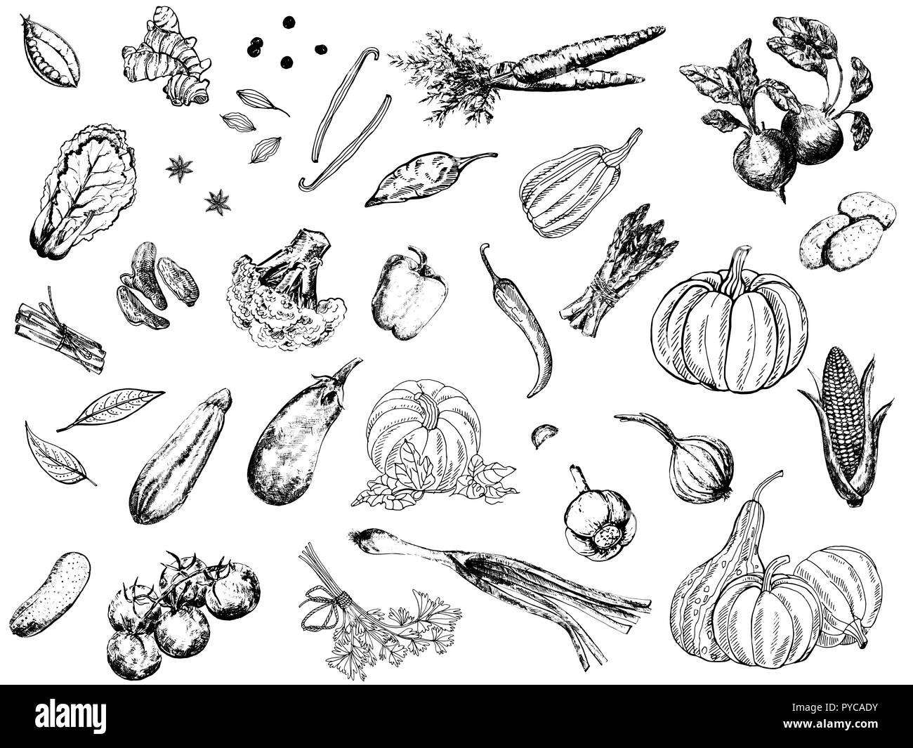 Grand ensemble de main croquis légumes style isolé sur fond blanc. Vector illustration. Illustration de Vecteur