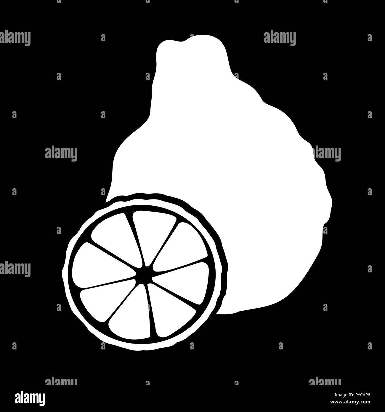 L'icône d'agrumes. Silhouette blanche style plat. La bergamote, citron, pamplemousse, citron vert, mandarine, pomelo, yuzu, d'orange sanguine, kumquat. Pour les cosmétiques, frais Illustration de Vecteur