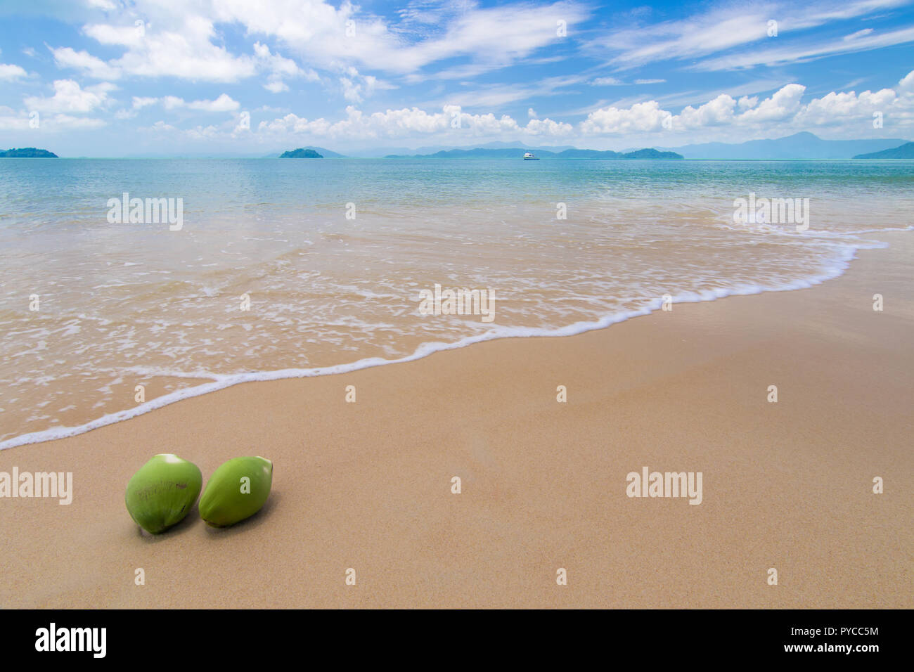 Coco sur la belle plage avec ciel bleu en été Banque D'Images