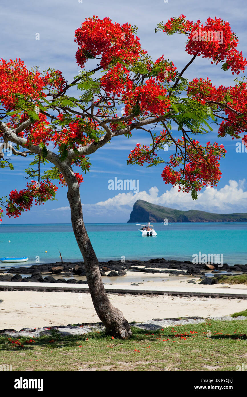 Vue nord vers l'île plate de Cap Malheureux, Ile Maurice. Banque D'Images