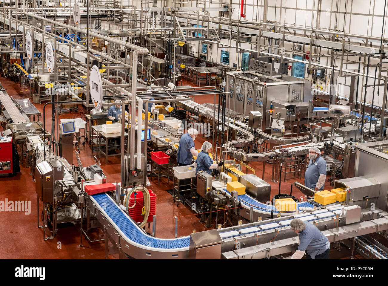Ingham, OU / USA - 23 juin 2018 : Tillamook creamery factory travailleurs de masques sur une ligne de production de fromage. Banque D'Images