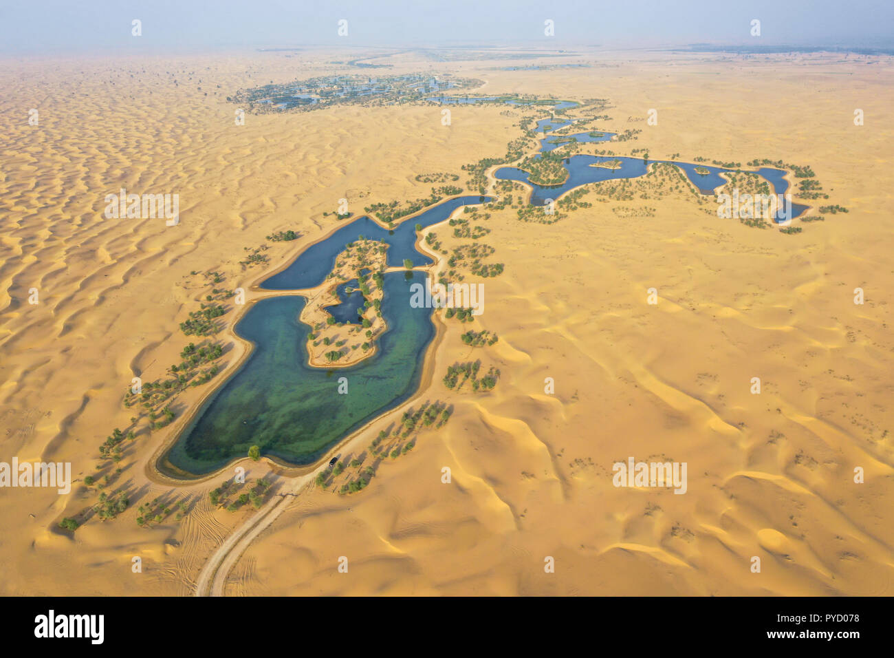 Les lacs et les arbres d'une belle oasis dans le désert. Dubaï, Émirats arabes unis. Banque D'Images