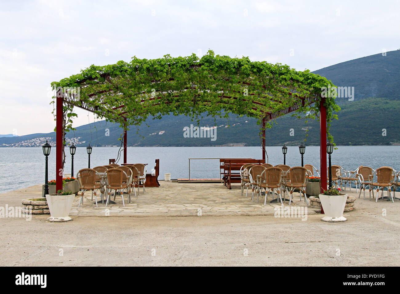 Restaurant terrasse avec vignes à la mer Adriatique Banque D'Images