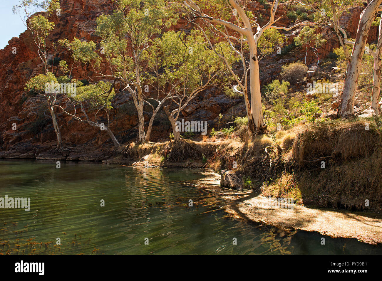 Ellery Creek Big Hole, MacDonnell, Territoire du Nord, Australie Banque D'Images