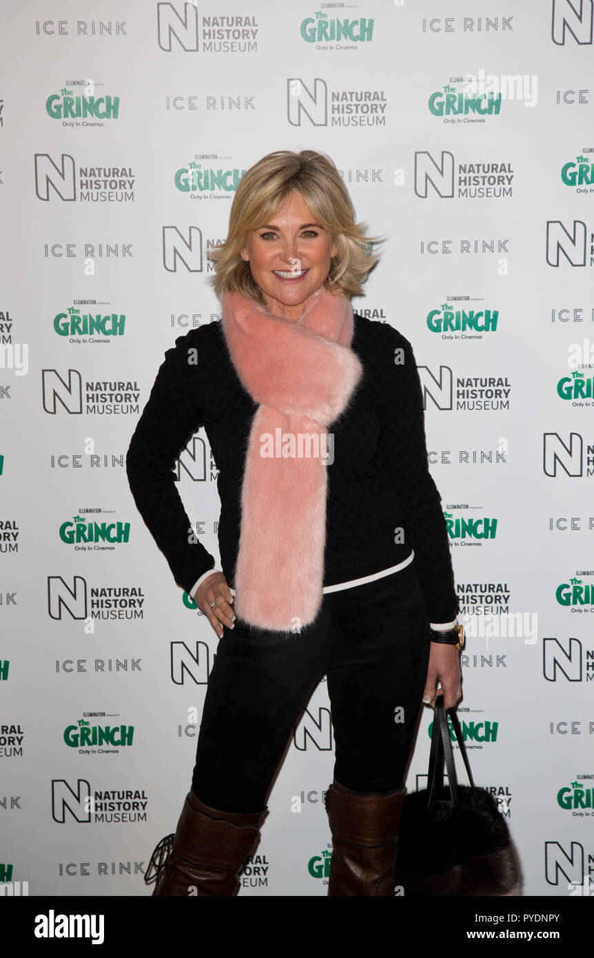 London Uk 24 octobre 2018 Le Musée d'Histoire Naturelle Kensington Anthea Turner assiste à l'histoire naturelle patinoire soirée de lancement Banque D'Images