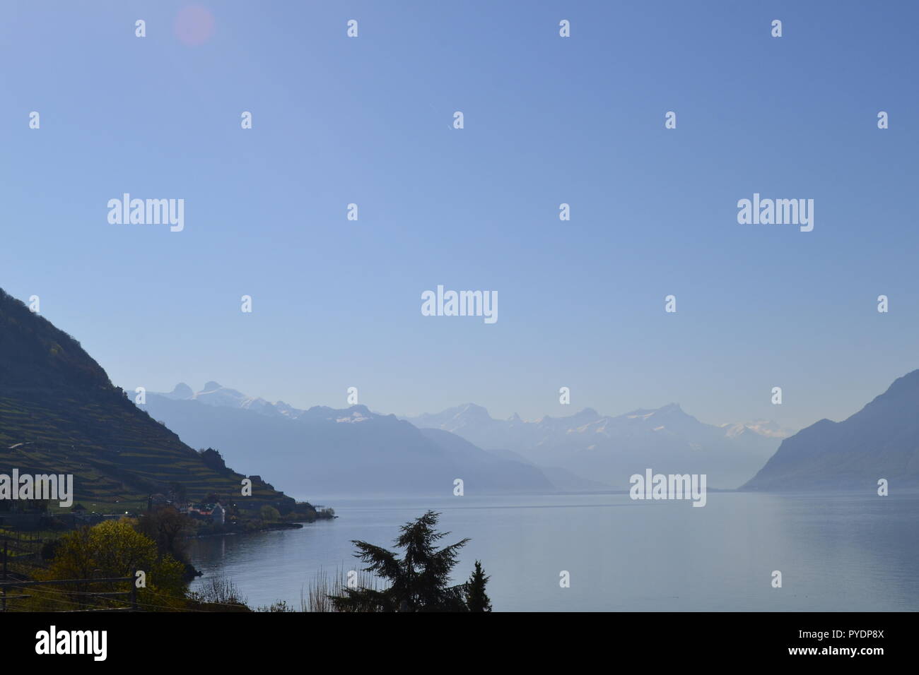 Vue depuis près de Epesses village, Vaud, à l'est vers le bas du Lac Léman à Montreux et les Alpes Pennines. Banque D'Images