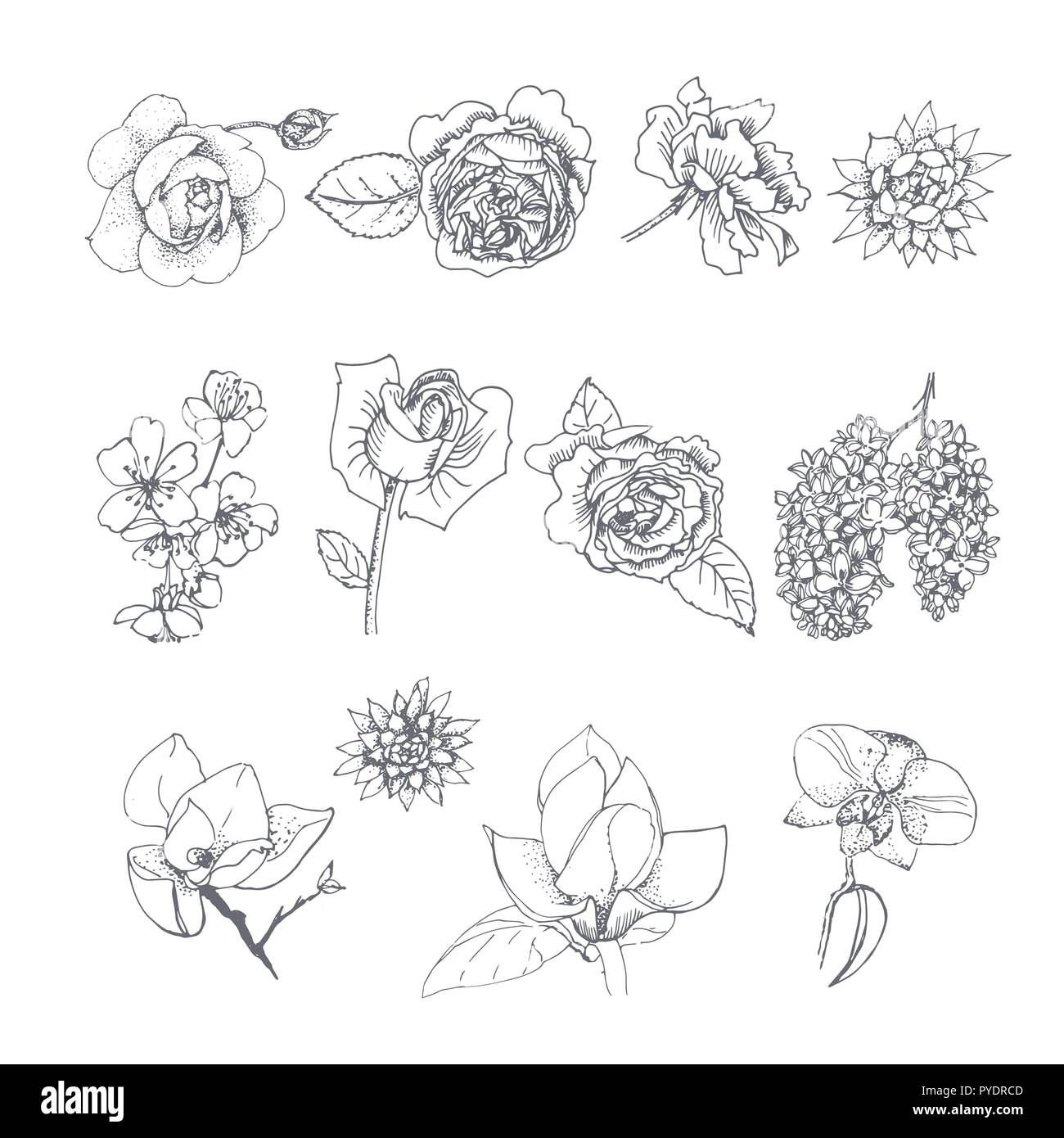 Ensemble de fleurs isolé sur fond blanc. Des croquis dessinés à la main, fleurs collection pour votre conception. Illustration de Vecteur