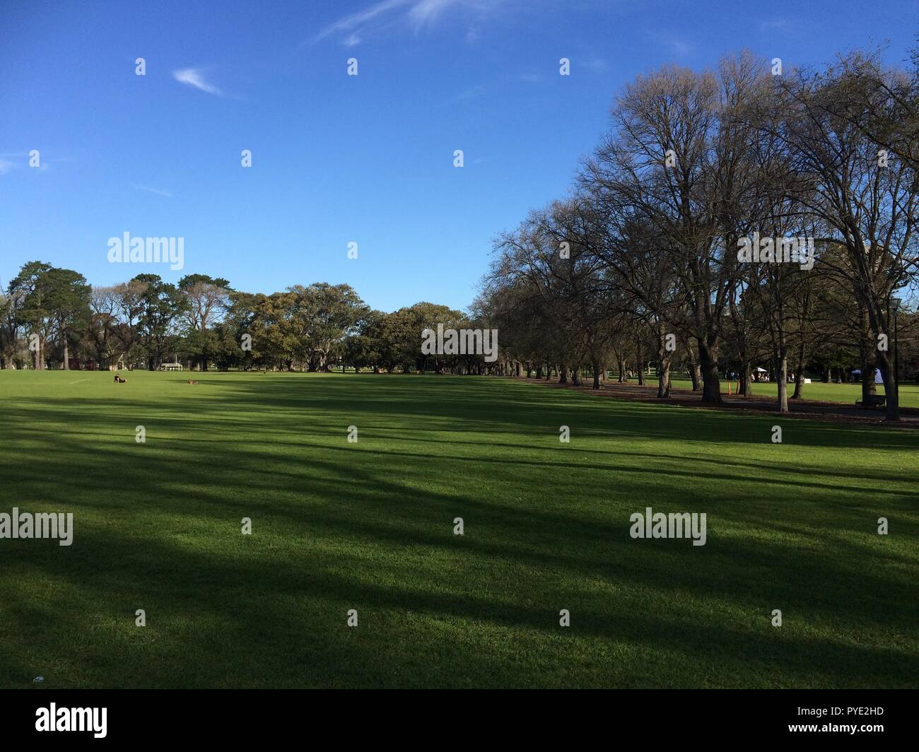 Fawkner Park, Melbourne, Victoria Banque D'Images