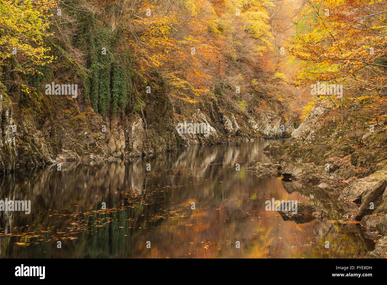 Couleurs de l'automne reflète dans la rivière Garry, Gorge de Killiecrankie, Perthshire, en Écosse. Banque D'Images