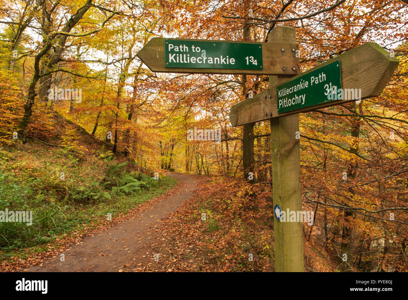 Du côté de la banque sur le chemin Rivière Garry à Killiecrankie Gorge, Perthshire, Écosse. Banque D'Images