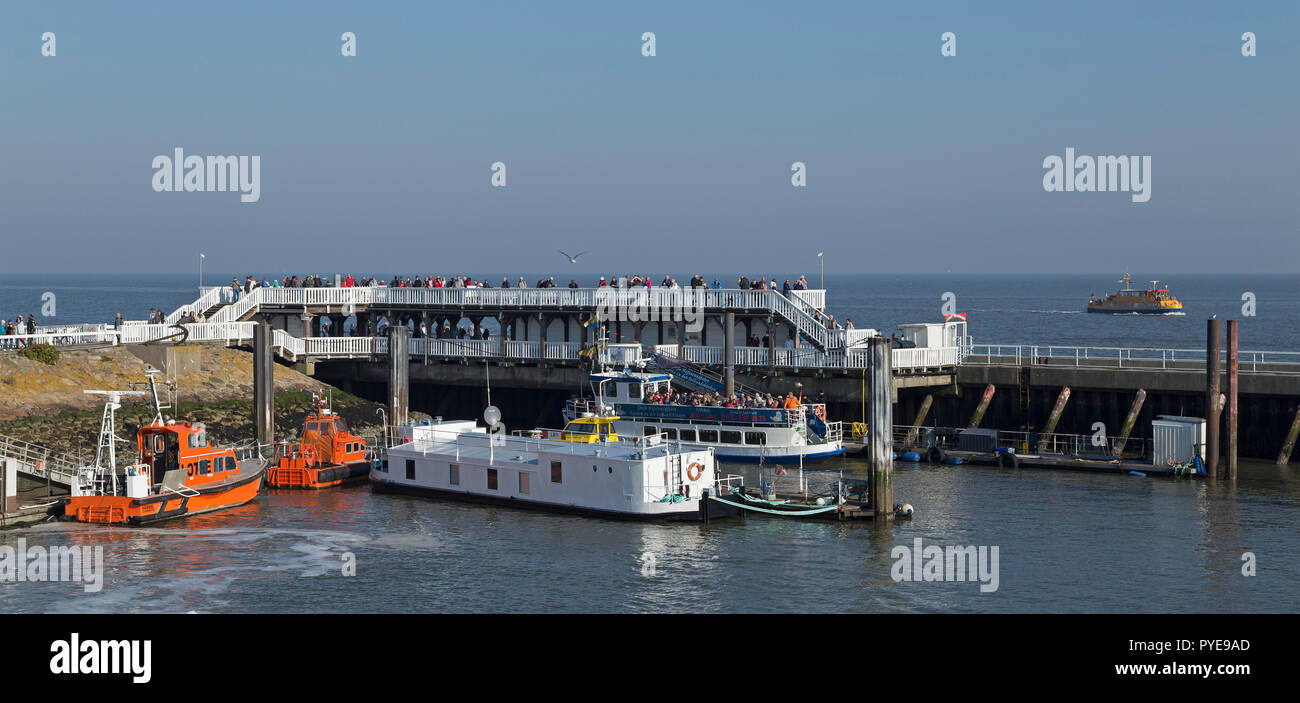 Port, Cuxhaven, Basse-Saxe, Allemagne Banque D'Images