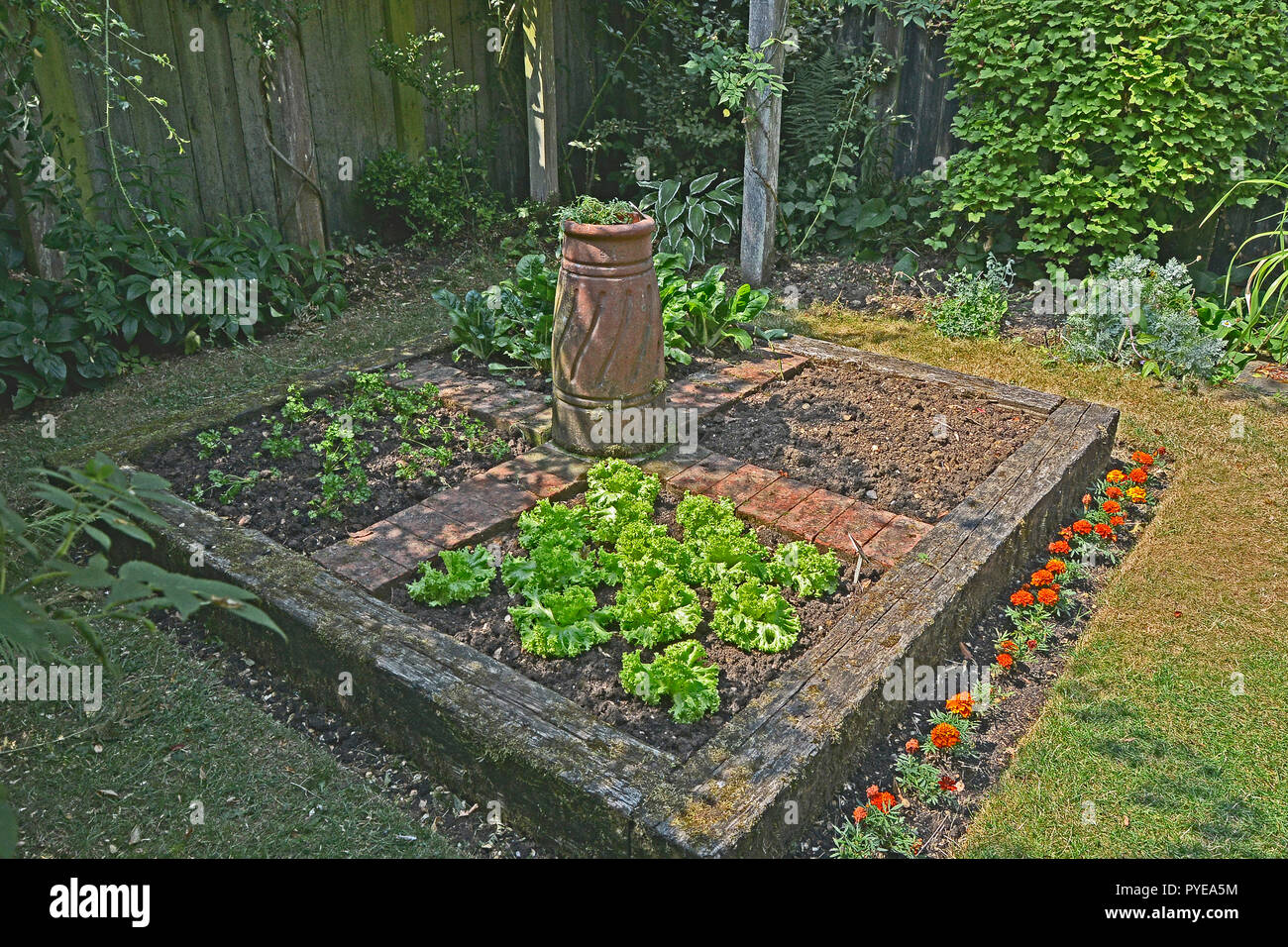 Un petit potager clos planté Banque D'Images