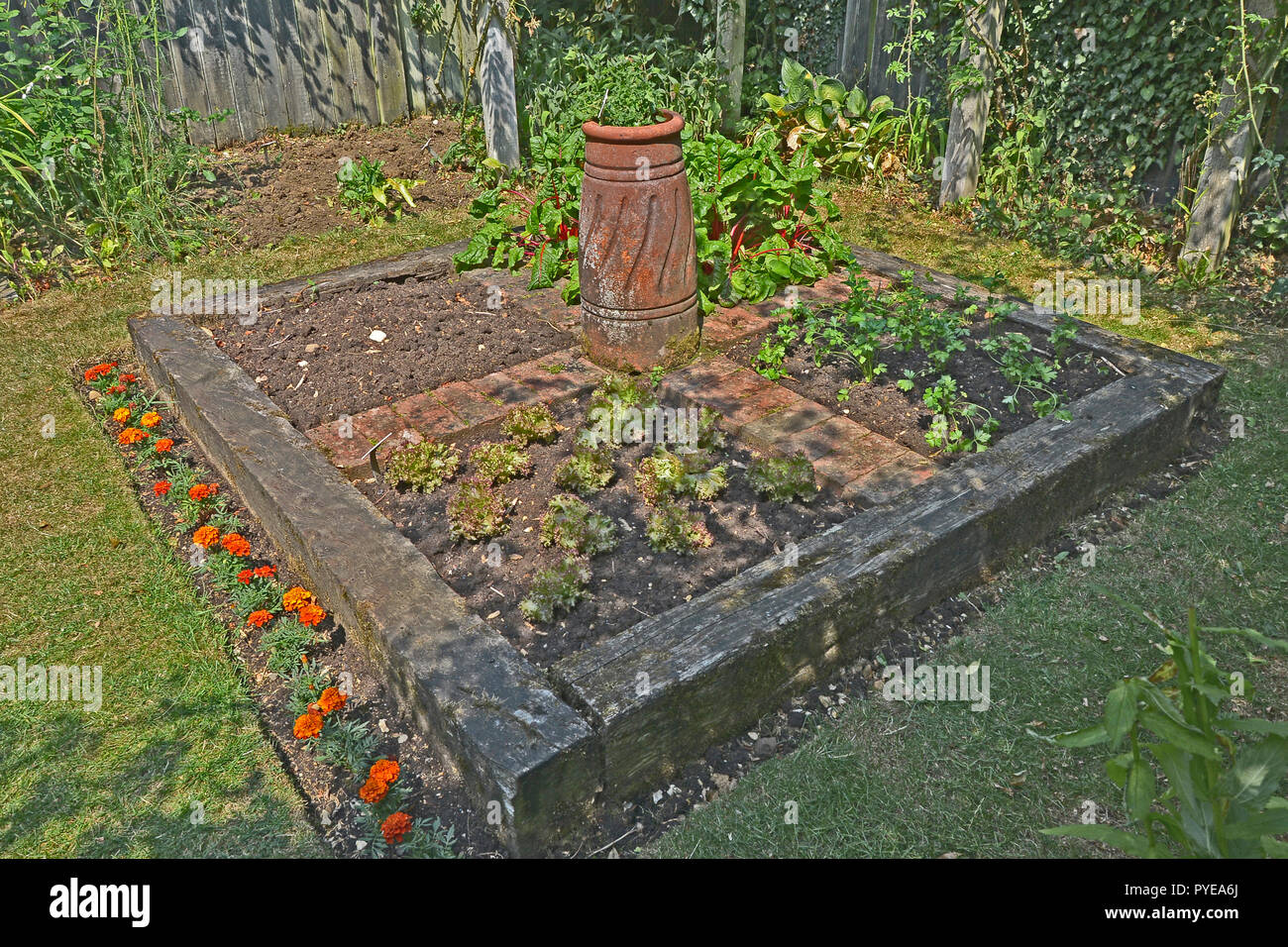 Un petit potager clos planté Banque D'Images