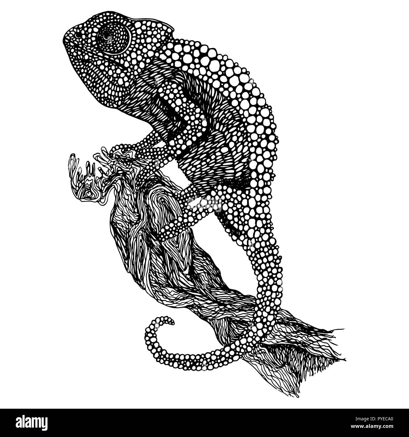 Joli dessin noir et blanc caméléon doodle bubble technique sur fond blanc pour dessiner, tatoo, cartes et votre propre conception. Encre modifiable vect Illustration de Vecteur
