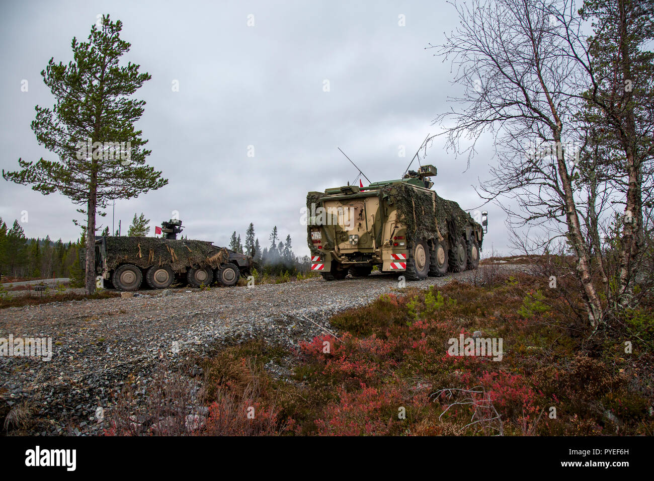 L'entraînement au tir du 91e Bataillon d'infanterie allemande (Jägerbataillon 91) dans le cadre de la très forte volonté Joint Task Force (VJTF) avec l'éclairage à distance d'arme montée sur véhicule de transport blindé Boxer au terrain d'entraînement militaire de Rena. Stade de l'exercice Trident de l'OTAN en Norvège, Rena, le 13 octobre 2018. Photo par Marco Dorow Banque D'Images