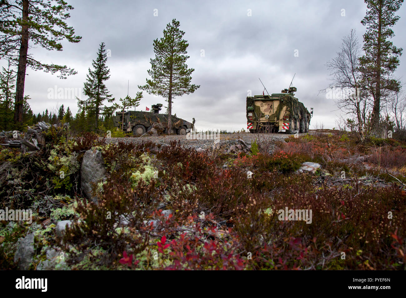 L'entraînement au tir du 91e Bataillon d'infanterie allemande (Jägerbataillon 91) dans le cadre de la très forte volonté Joint Task Force (VJTF) avec l'éclairage à distance d'arme montée sur véhicule de transport blindé Boxer au terrain d'entraînement militaire de Rena. Stade de l'exercice Trident de l'OTAN en Norvège, Rena, le 13 octobre 2018. Photo par Marco Dorow Banque D'Images