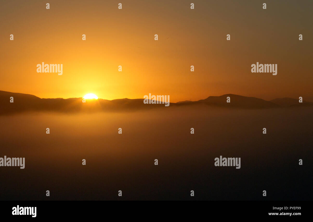 Brouillard au sol au lever du soleil Banque D'Images