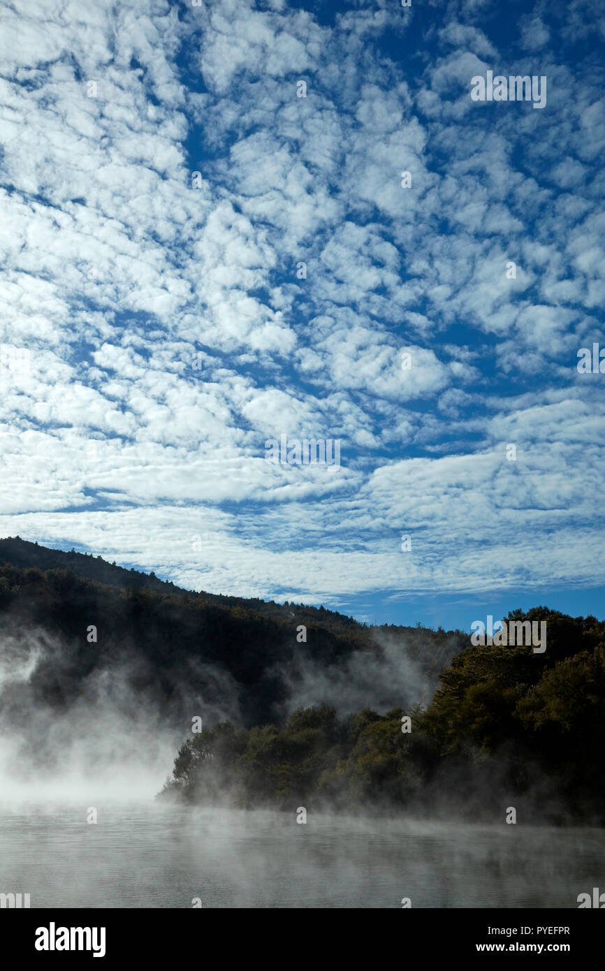 La vapeur qui s'Rotowhero depuis le lac (lac Vert), près de Rotorua, île du Nord, Nouvelle-Zélande Banque D'Images