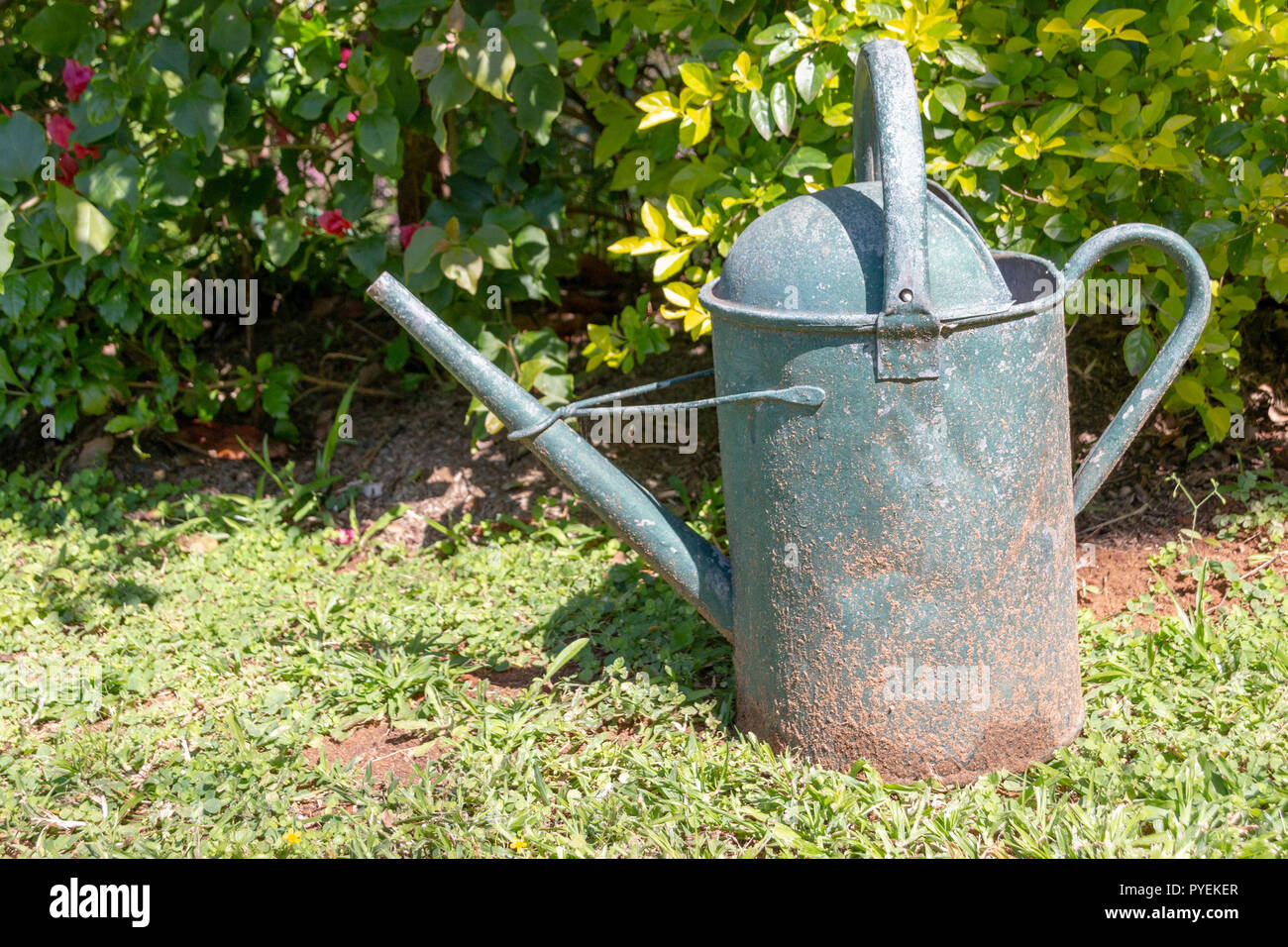 Une vue en gros plan d'un ancien rouillé métal vert peut l'eau dans le jardin extérieur Banque D'Images