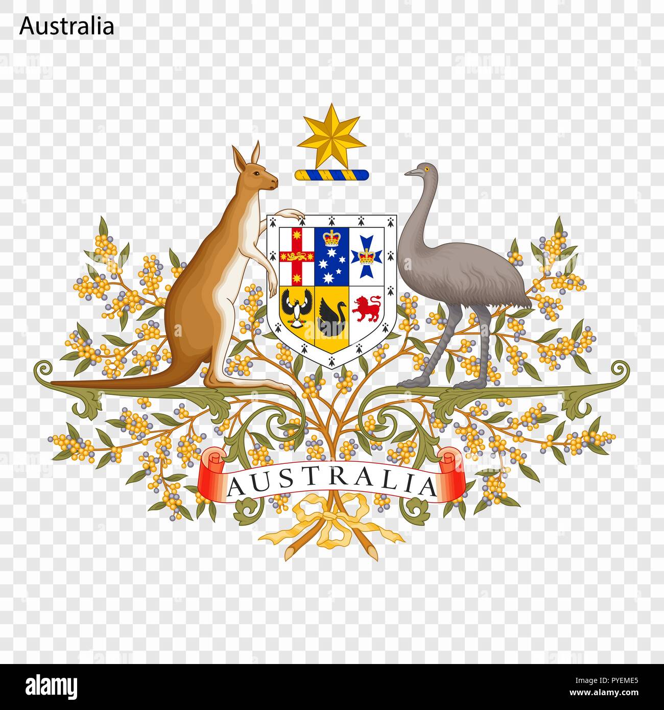 L embl me De L Australie Symbole National Image Vectorielle Stock Alamy
