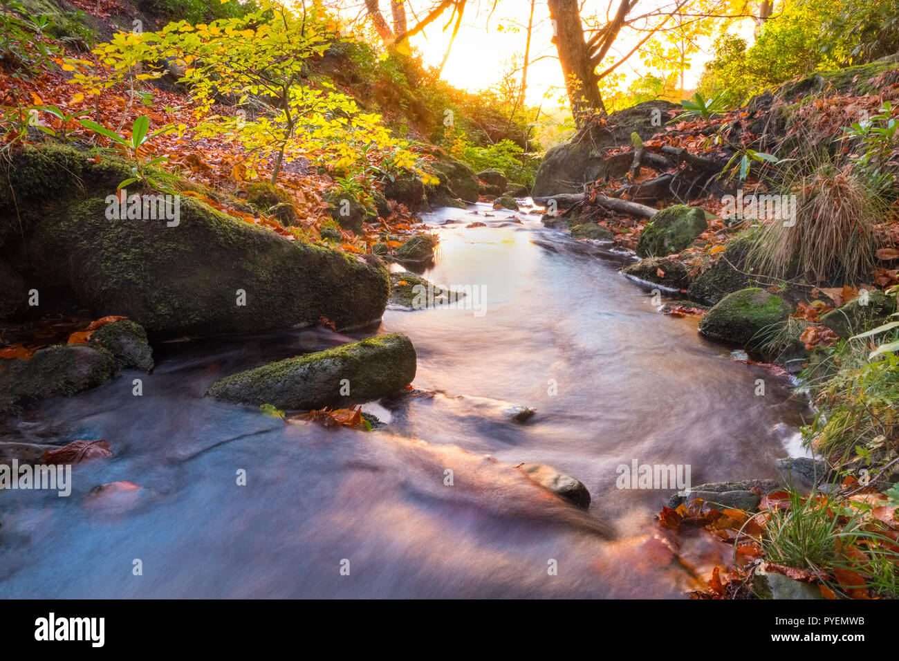 Un flux de Peak District tard sur un après-midi d'automne Banque D'Images