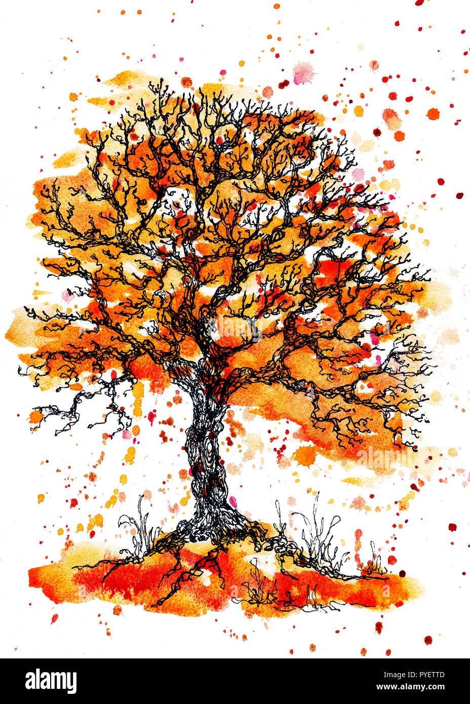 Jolie Aquarelle et encre de couleur orange tree illustration avec des touches. Peinture à la main,isoler sur fond blanc. Saisonniers arbre stylisé. Eco Banque D'Images