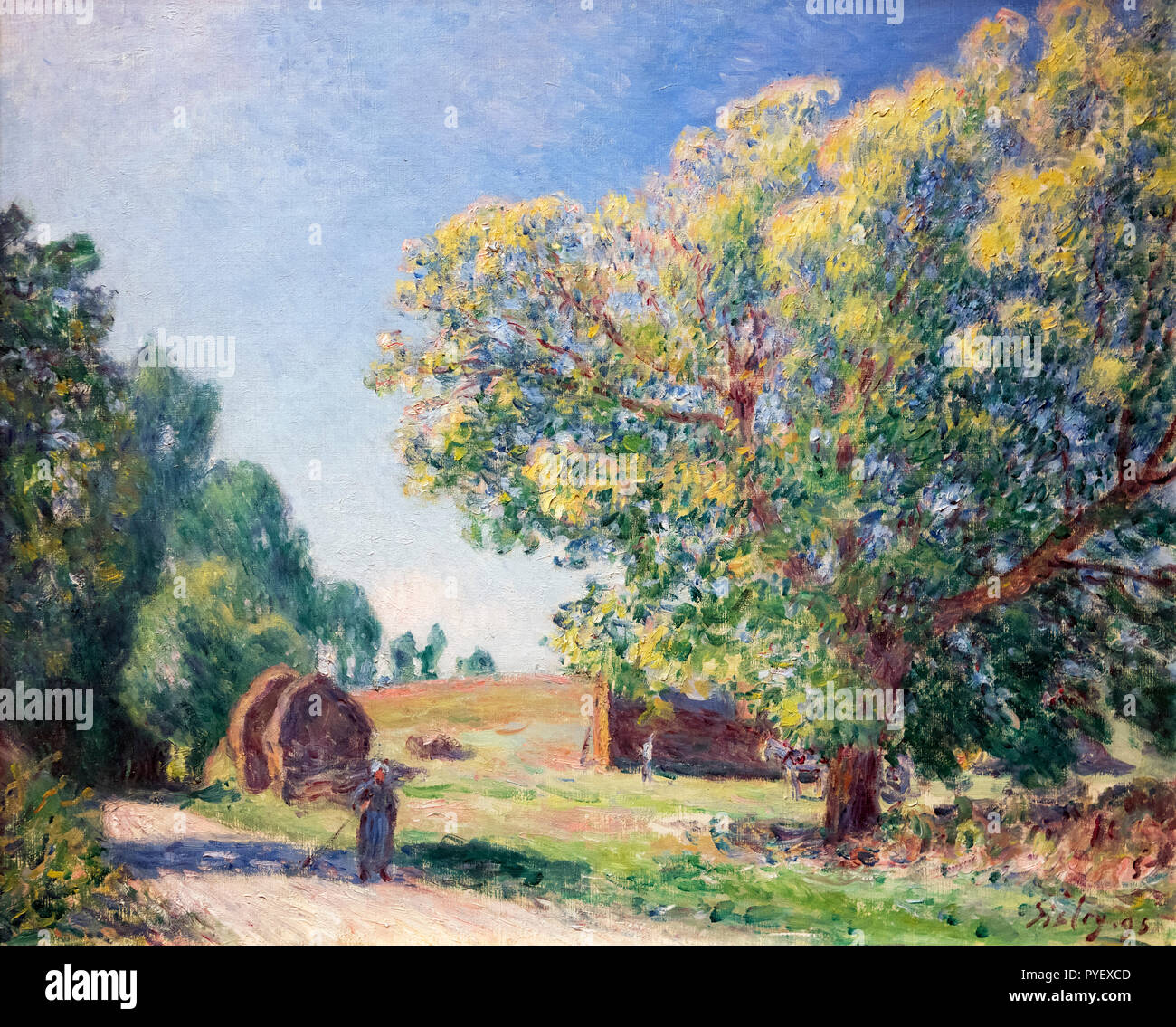 Une clairière dans la forêt par Alfred Sisley (1839-1899), huile sur toile, 1895 Banque D'Images