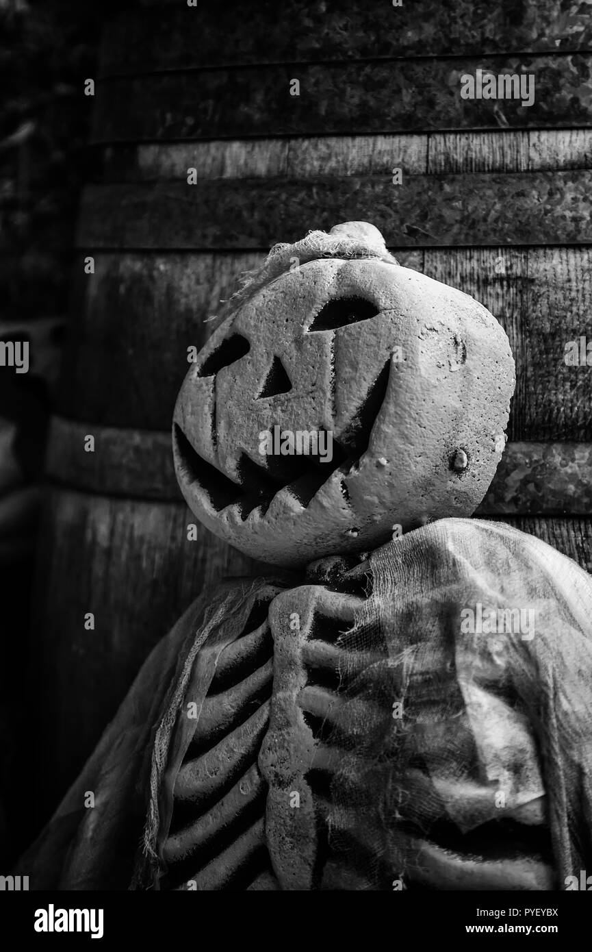 Les citrouilles pour Halloween effrayant la nuit, détail de la terreur et de la peur Banque D'Images