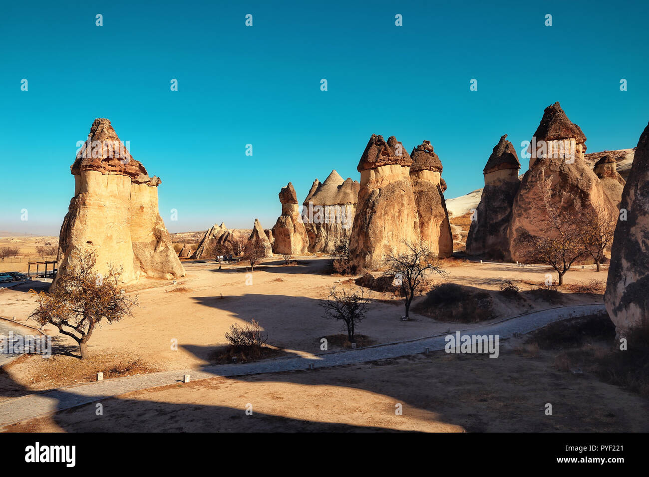 Cappadoce, Turquie. La cheminée de fées. Pierre multihead de champignons dans la vallée des moines. La vallée de Pasabag Banque D'Images