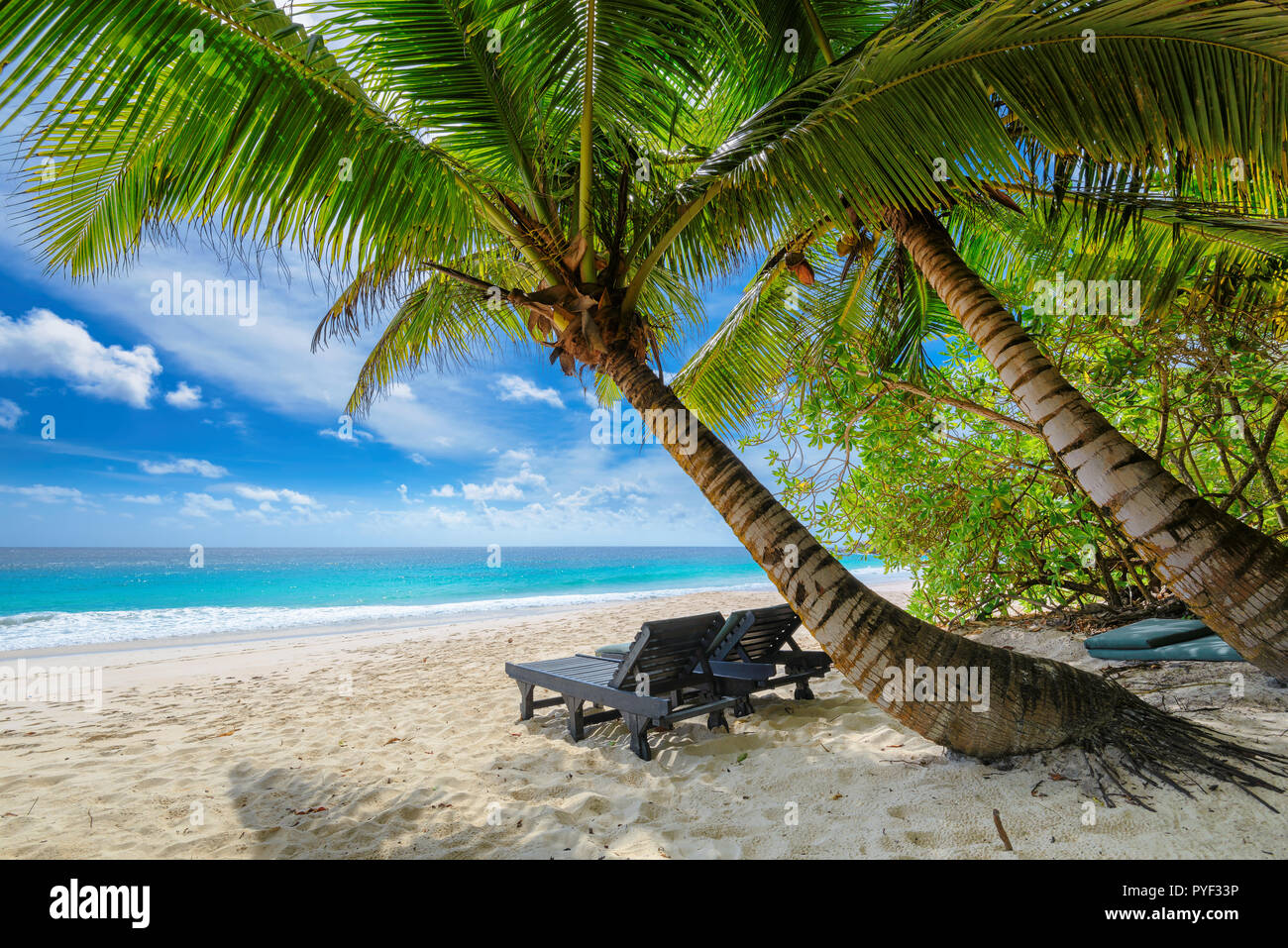 Plage de sable d'été avec palmiers et mer turquoise. Banque D'Images