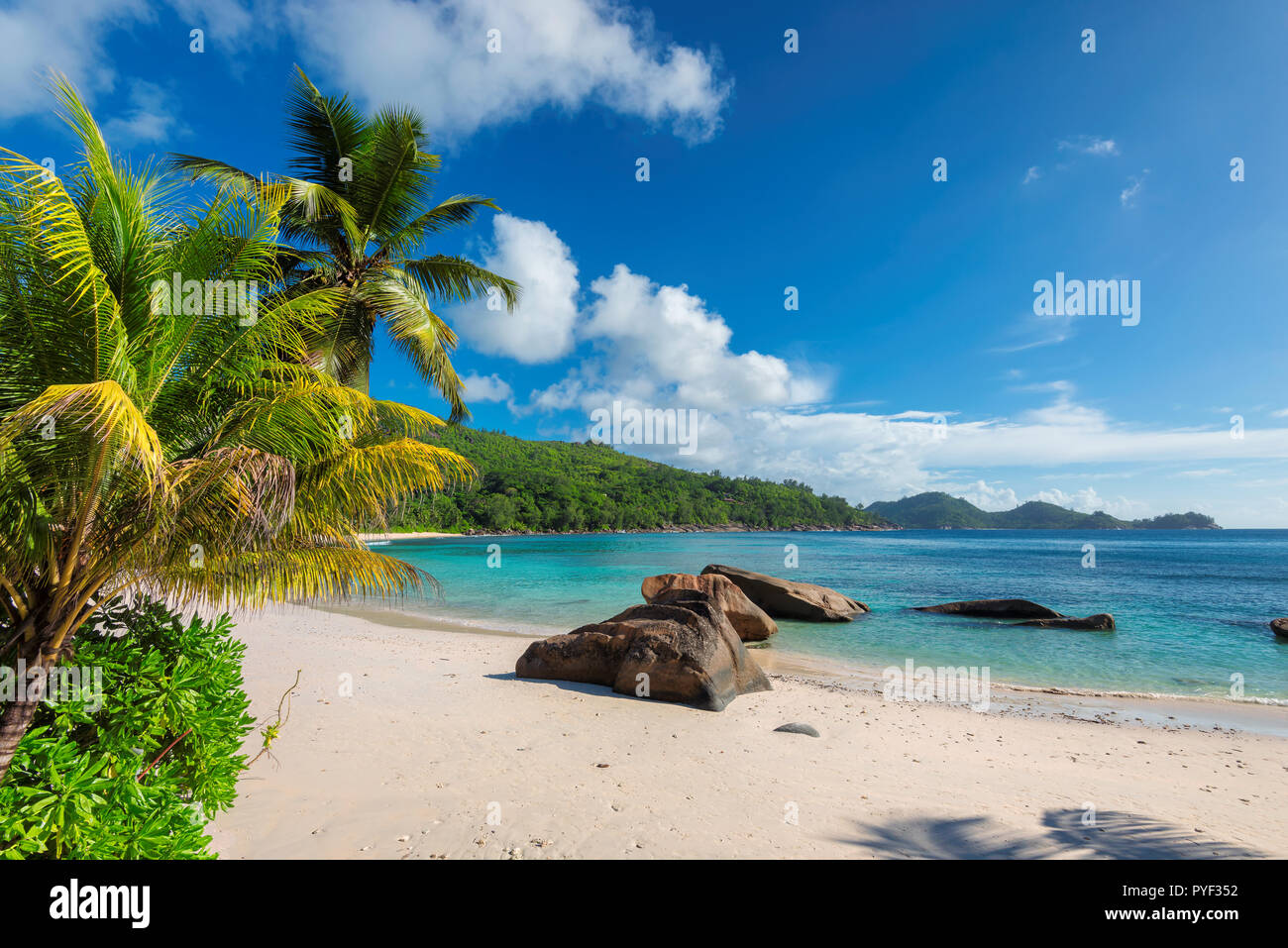 Plage de sable fin sur l'île tropicale. Banque D'Images