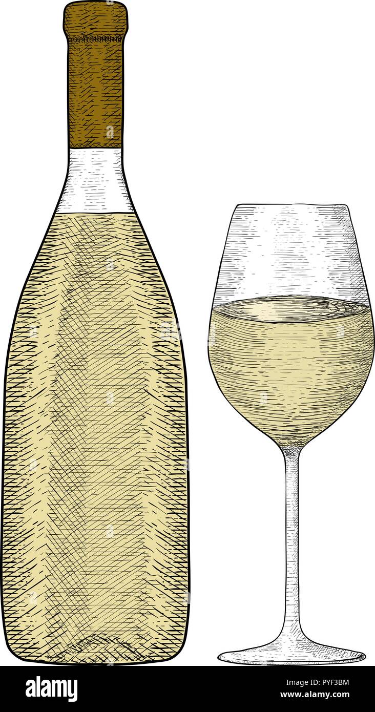 Bouteille de vin blanc et de verre. Croquis dessinés à la main, Illustration de Vecteur