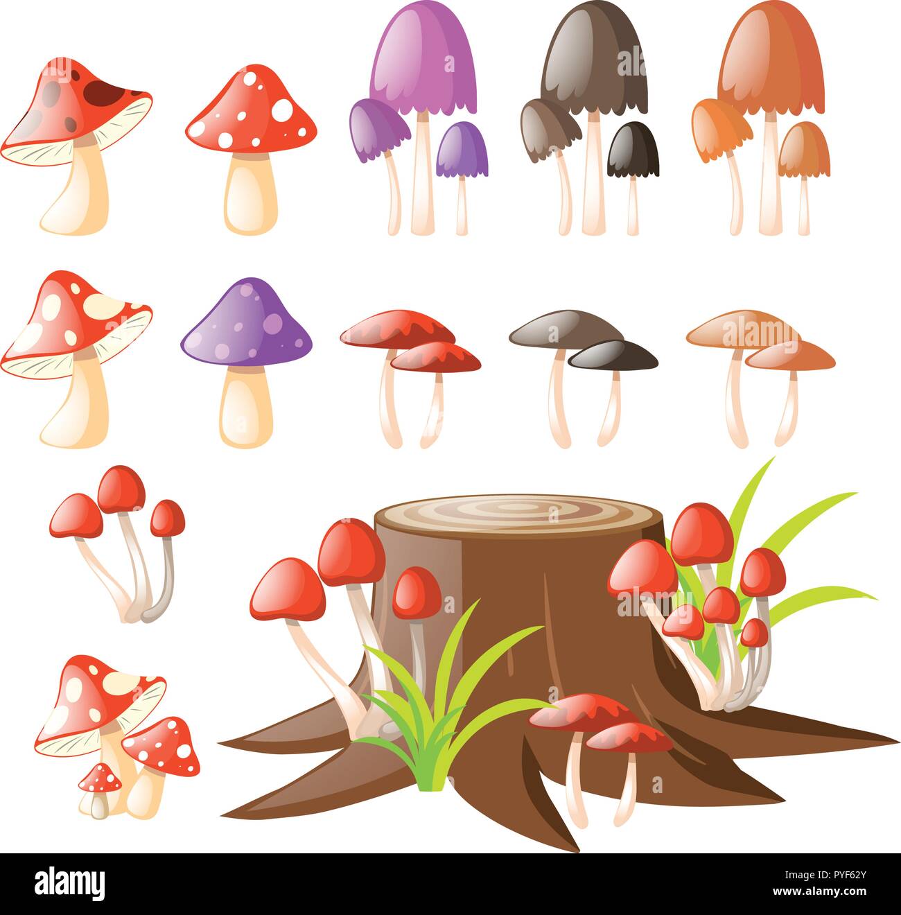 Différents types de champignons illustration Illustration de Vecteur