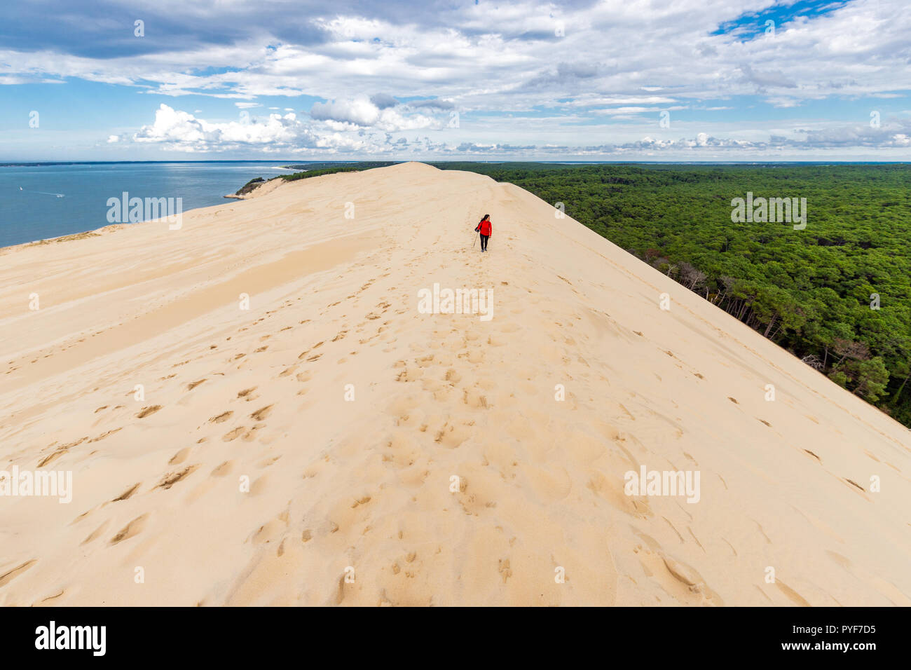 Femme marche en haut de la dune du Pyla (PILAT) dune, bassin d'Arcachon, Aquitaine, France Banque D'Images