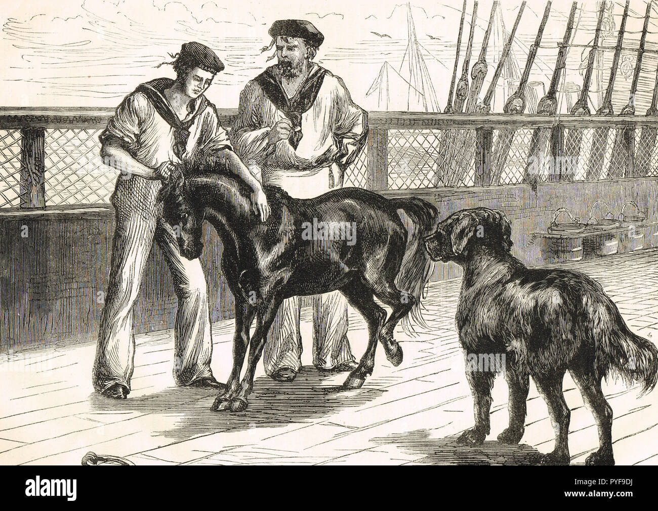 À bord du HMS Seraphis, poney et le Thibet Mastiff, vers 1875 Banque D'Images