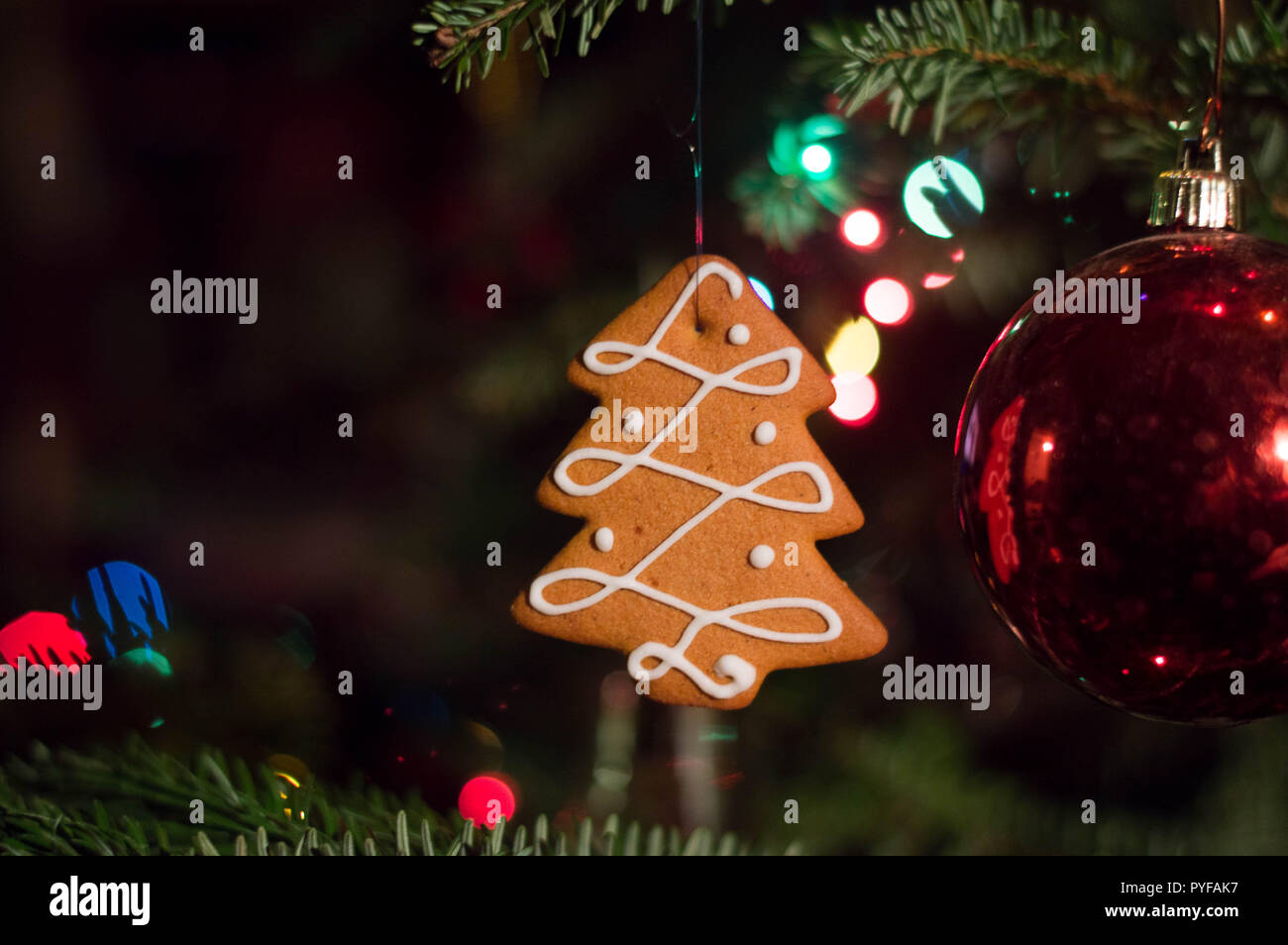 Mangeable décoration de Noël - sapin d'épices en forme de pendaison sur l'arbre de Noël avec des billes de verre et Garland Banque D'Images